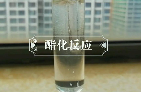 酯化废水处理方案讲解（酯化废水处理工艺流程有哪些）