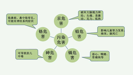 重金属离子的定义（重金属离子用什么处理）